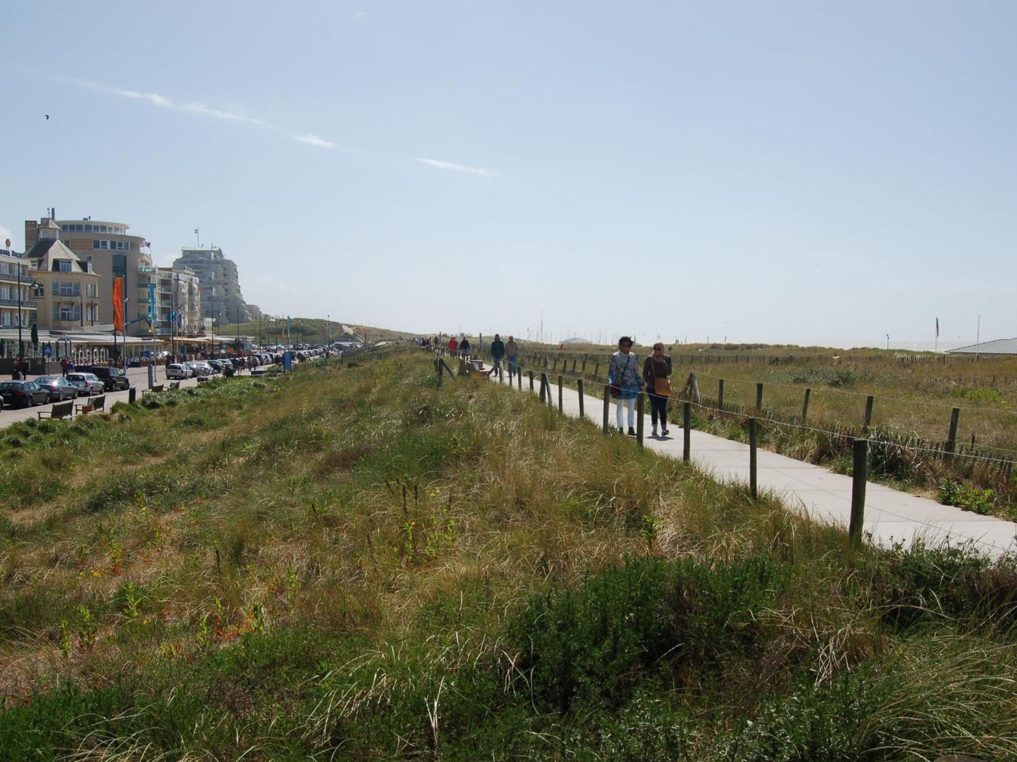 Apartment At The Promenade And Beach Noordwijk Εξωτερικό φωτογραφία